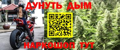 прущий лед Кингисепп